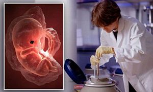 تولید موجودات دورگه