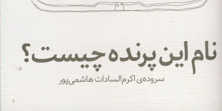 «نام این پرنده چیست؟» کتابی با موضوع طبیعت برای نوجوانان چاپ شد
