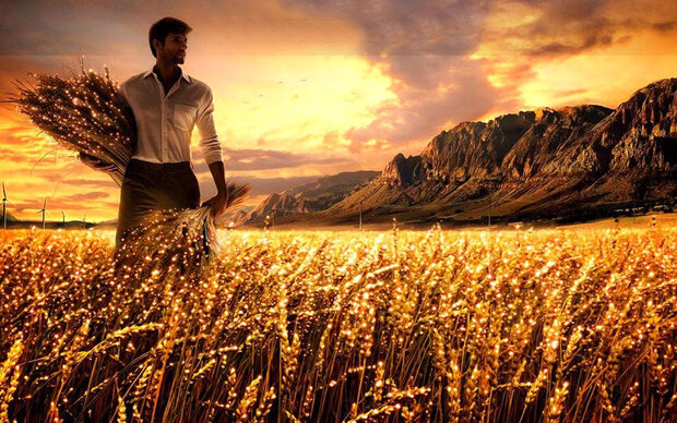 گشایش در زندگی و نزول نعمت در گرو چه چیزی است؟