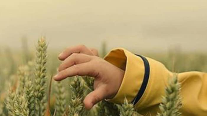 چرا در آخرالزمان رزق و روزی کم می‌شود؟