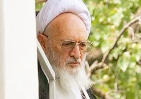 خاطره ای از علامه حسن زاده درباره کسی که حیوانی را آزار داد