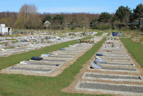 با اولین قبرستان اسلامی در آمریکا آشنا شوید