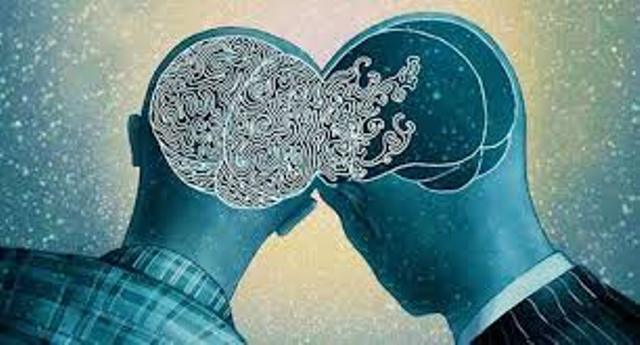 بهترین هم‌نشین‌های انسان چه کسانی هستند؟