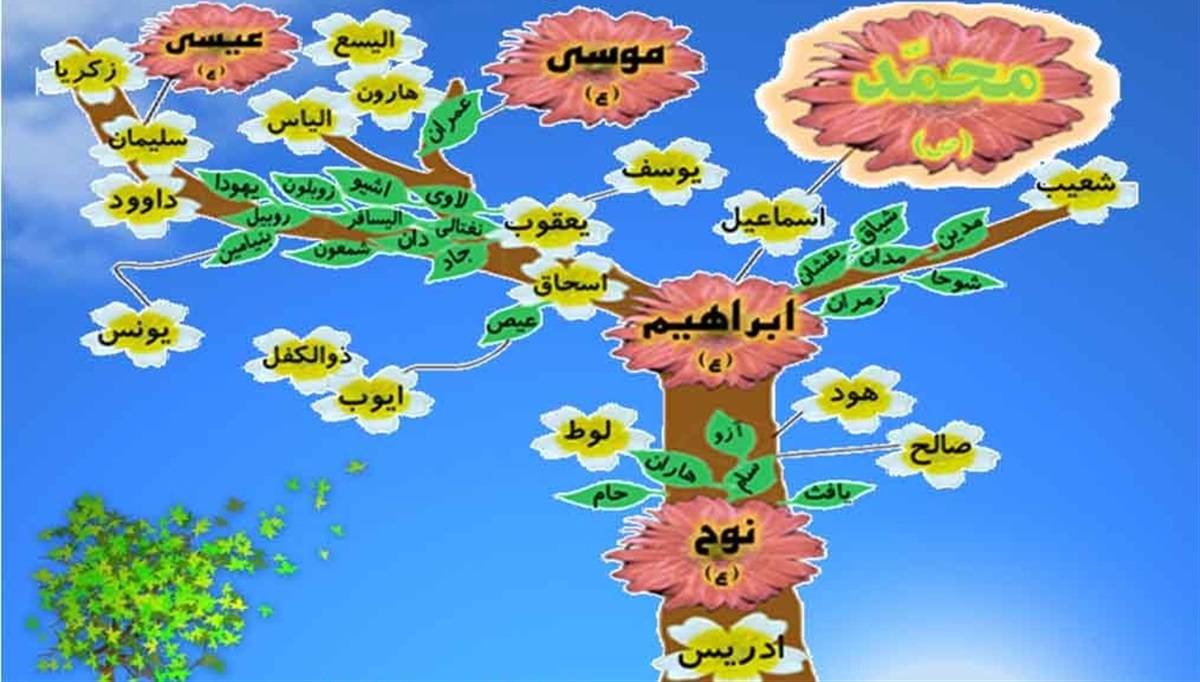 راز کثرت پیامبران چیست؟