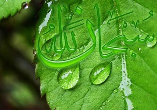 ثواب بسیار عجیب ذکر سبحان الله