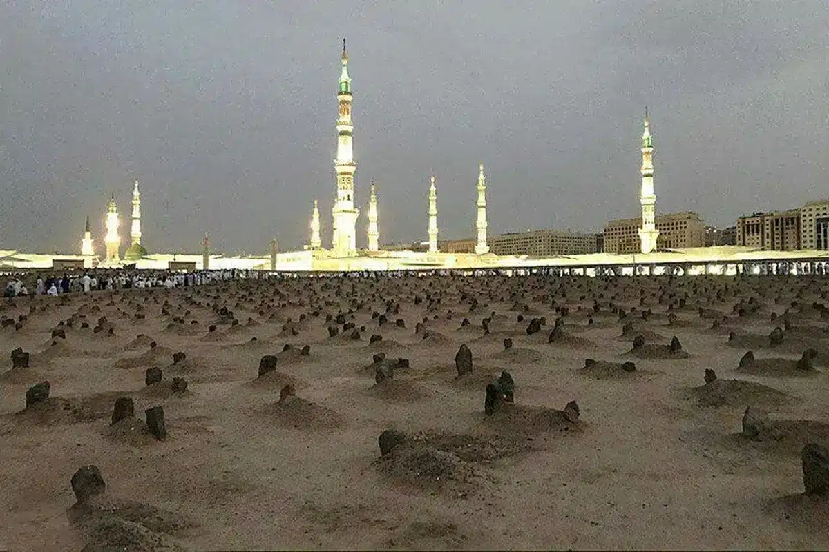 کبوترهایی که در «بقیع» پیام رسان می‌شوند