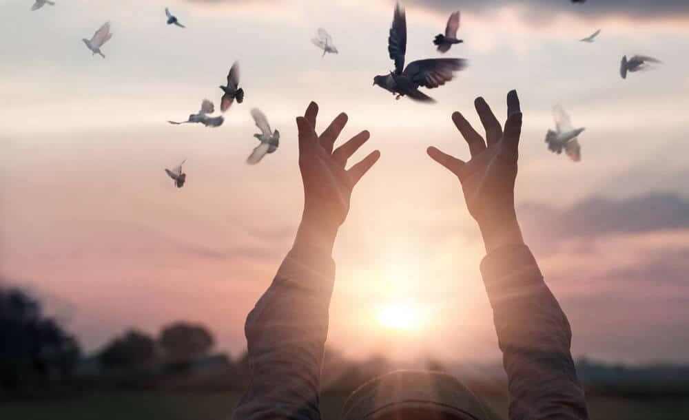 صحیفه زندگی | چرا غیر از خدا رنگی ندارد؟ درس‌هایی از کلام امام سجاد(ع)