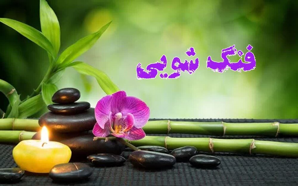 آیا با فنگ‌شویی زندگی‌مون بهتر میشه؟