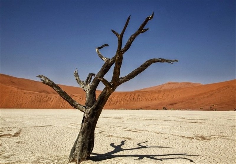 چرا ترویج ذکرها و نسخه‌های بی‌ریشه خطرناک است؟