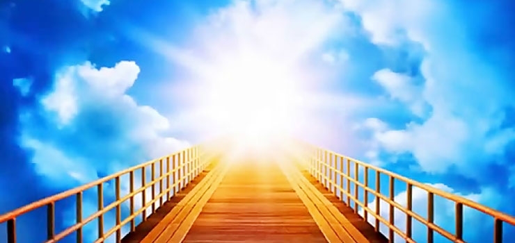 بالاترین درجه انسانیت چیست؟