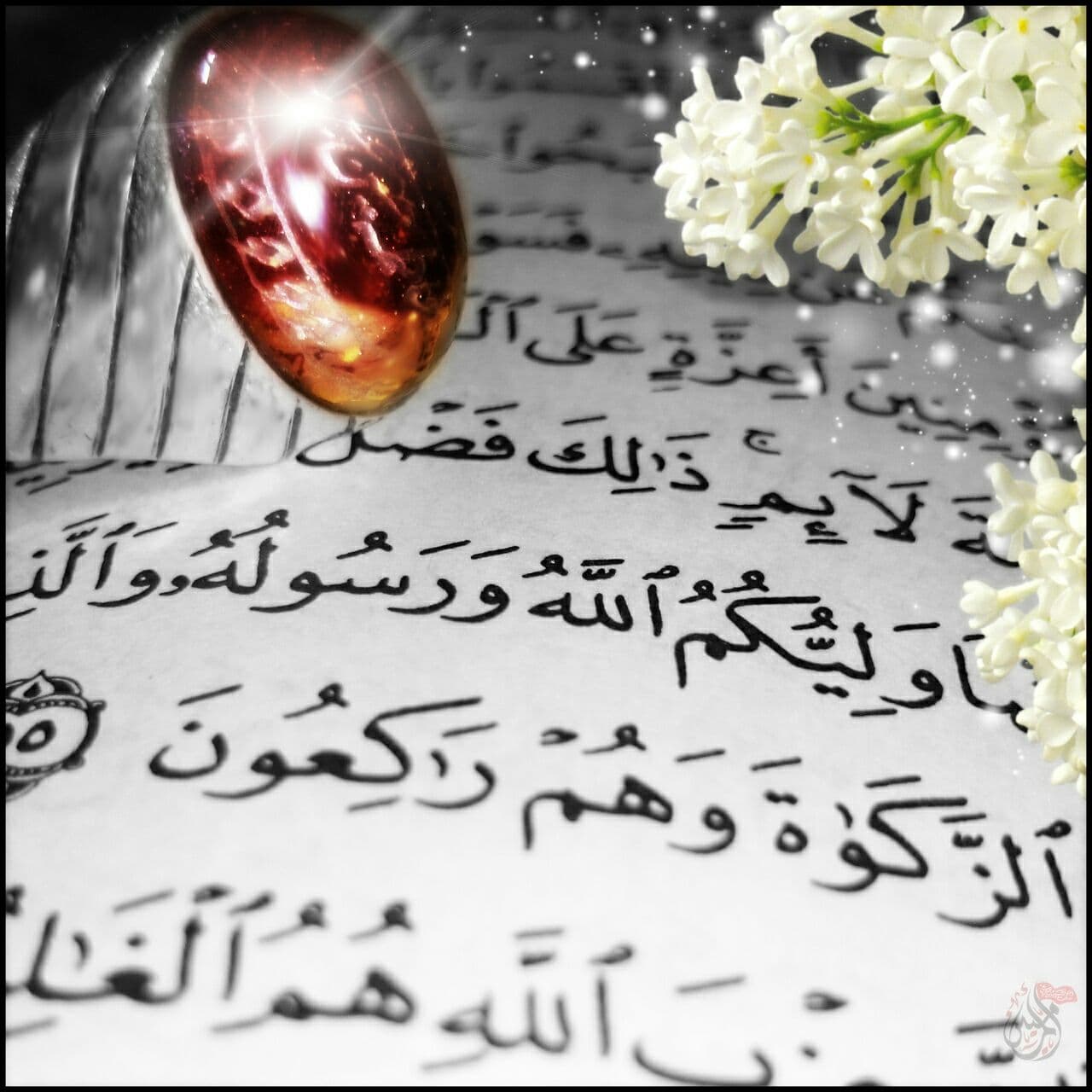 ابن تیمیه و آیه ولایت