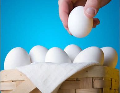 امام صادق(ع): همه تخم مرغ هایت را در یک سبد نچین!