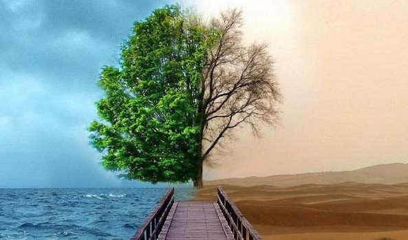 بعد از مشخّص شدن تکلیف بندگان در قیامت آیا خلقت دیگری نیز در کار خواهد بود؟