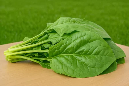 مصرف این سبزی عمرتان را طولانی‌تر کند