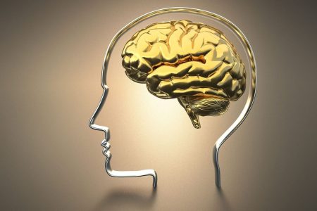 راز‌های تقویت مغز با تمرینات ساده روزانه، حقایقی که باید جدی گرفت