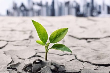 سلامت معنوی حلقه گمشده میان جسم و روان انسان