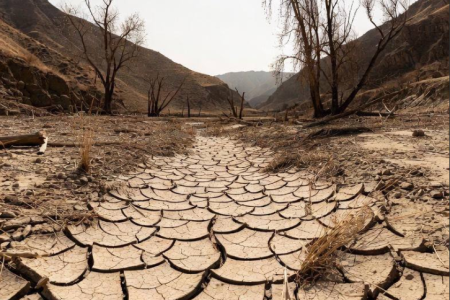 فقه محیط زیست؛ قرائت تازه‌ای از آیهٔ فساد و تباهی در خشکی و دریا