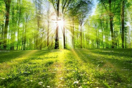 ماجرای نوری که ناگهان در بهشت می‌تابد و بهشتیان را از لذت بیهوش می‌کند