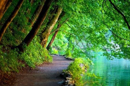 راز جاودانگی انسان در بهشت چیست؟