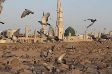 چرا روایت دقیقی از زمان شهادت حضرت زهرا(س) نیست؟