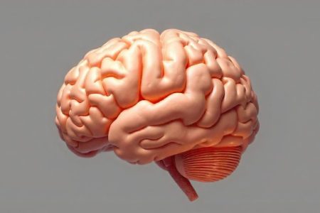 سخن پیامبر(ص) که در دانشگاه برگن نروژ ثابت شد!