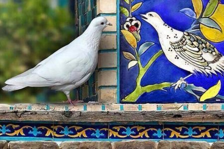 گمان مبر که فراموش کردمت، هیهات!