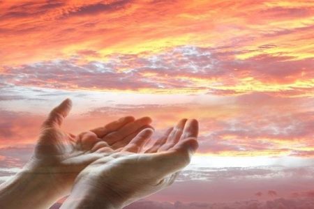 قمار شکر بر سر هستی؛ چرا شکر، نعمت را پشت سر می‌گذارد