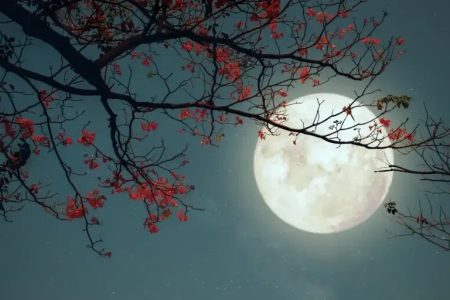 زمستان، بهار مؤمن: چگونه شب‌های سرد، دل را گرم عبادت می‌کند