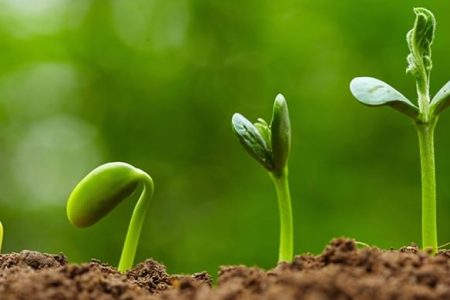 چرا قرآن جوانی را دوران طلایی می‌داند؟