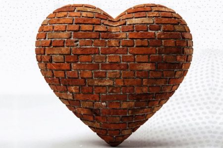 نهج زندگی | دل، بی‌حکمت می‌میرد