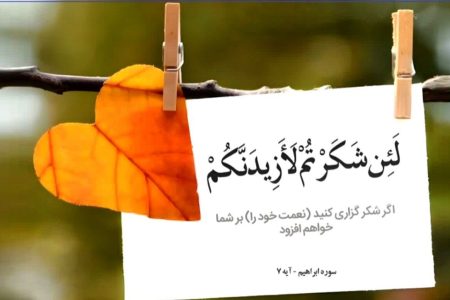 طلوع بندگی | اگر قدردان و شاکر باشیم، گمراه نمی‌شویم