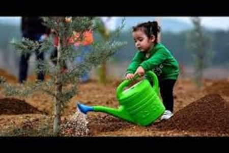 اعتماد به نفس میراث محیط‌های امن و حمایتی برای کودکان