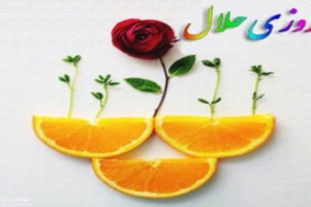 شبهه دستور دین به بانوان برای کسب روزی حلال