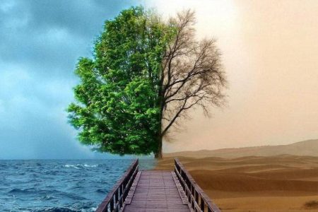 ماجرای «خیر» بودن همه چیز در عالم