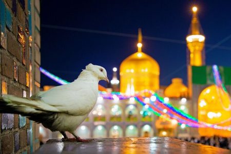 چرا ایران «سرزمین امام رضا (ع)» نام گرفته است؟