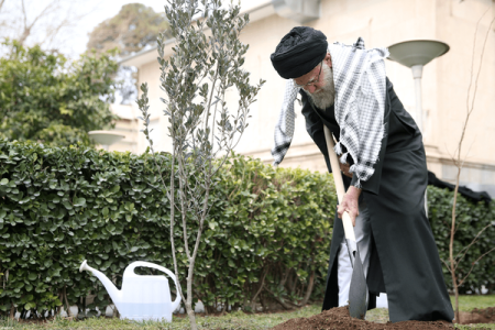 روایت حجت‌الاسلام مروی از مخالفت جدی رهبر شهید با قطع یک درخت