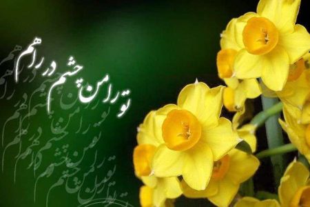 آیا امام زمان (عج) روز جمعه ظهور خواهند کرد؟