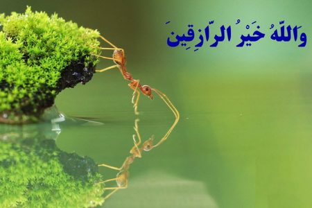 آیات محرمانه قرآن برای گشایش رزق و روزی