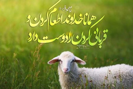 آیا قربانی کردن با مهربانی با حیوانات ناسازگار است؟ تبیین مرزهای آیین و اخلاق