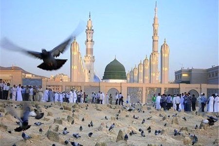 ببینید| سلام عاشقانه زائران حج به پیامبر رحمت در مدینه