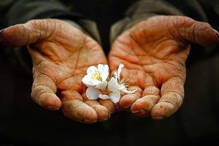 درآمد حلال چگونه آرامش و خوشبختی را به خانواده می‌آورد؟
