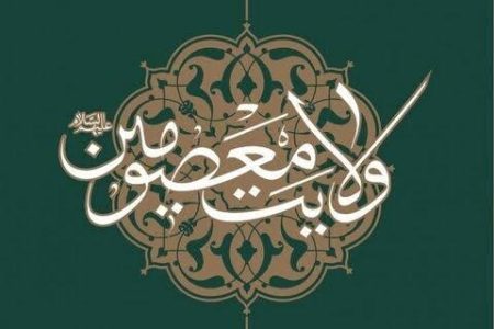 «منظور از حدیث «تمام زمین برای ماست» چیست؟/ تبیین جایگاه ولایت در مالکیت زمین»