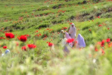 الگوی دینیِ حضور زن در جامعه؛ نه انزوا، نه بی‌مرزی