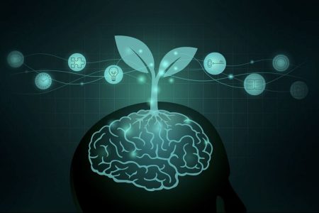 مغزتان را جوان نگه دارید؛ ۶ عادت ساده برای تقویت حافظه و مقابله با پیری مغز