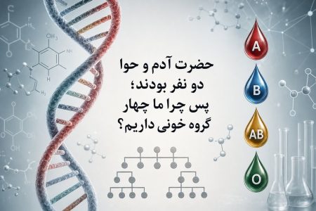 راز چهار گروه خونی؛ اگر نسل بشر از آدم و حوا آغاز شد، تفاوت‌ها از کجا آمد؟
