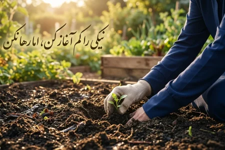 همنشینی سعدی با حکمت علوی؛ راز سلوک پیوسته در آینه شعر و احادیث