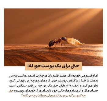 حقالناس در سیره امیرالمؤمنین(ع)؛ راه رسیدن به خدا از حقوق مردم میگذرد