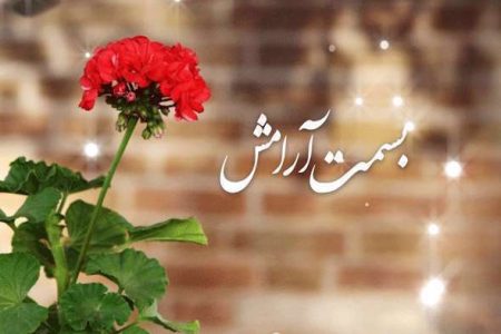 سکوت؛ راهی برای رسیدن به آرامش در آموزه‌های علوی